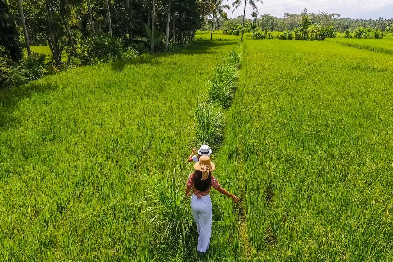 פייאנגאן Puri Lumbung Village מראה חיצוני תמונה